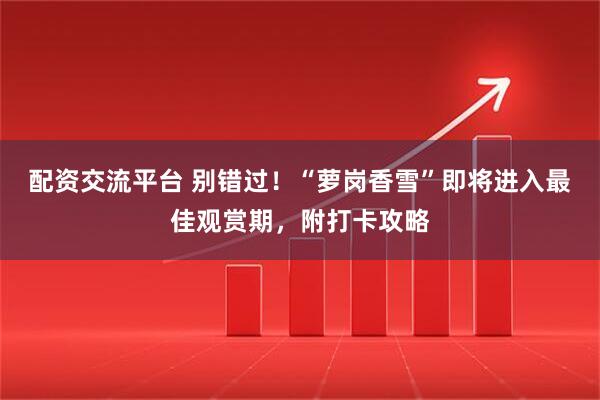 配资交流平台 别错过！“萝岗香雪”即将进入最佳观赏期，附打卡攻略